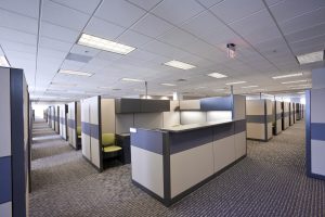 Clean a Company Office