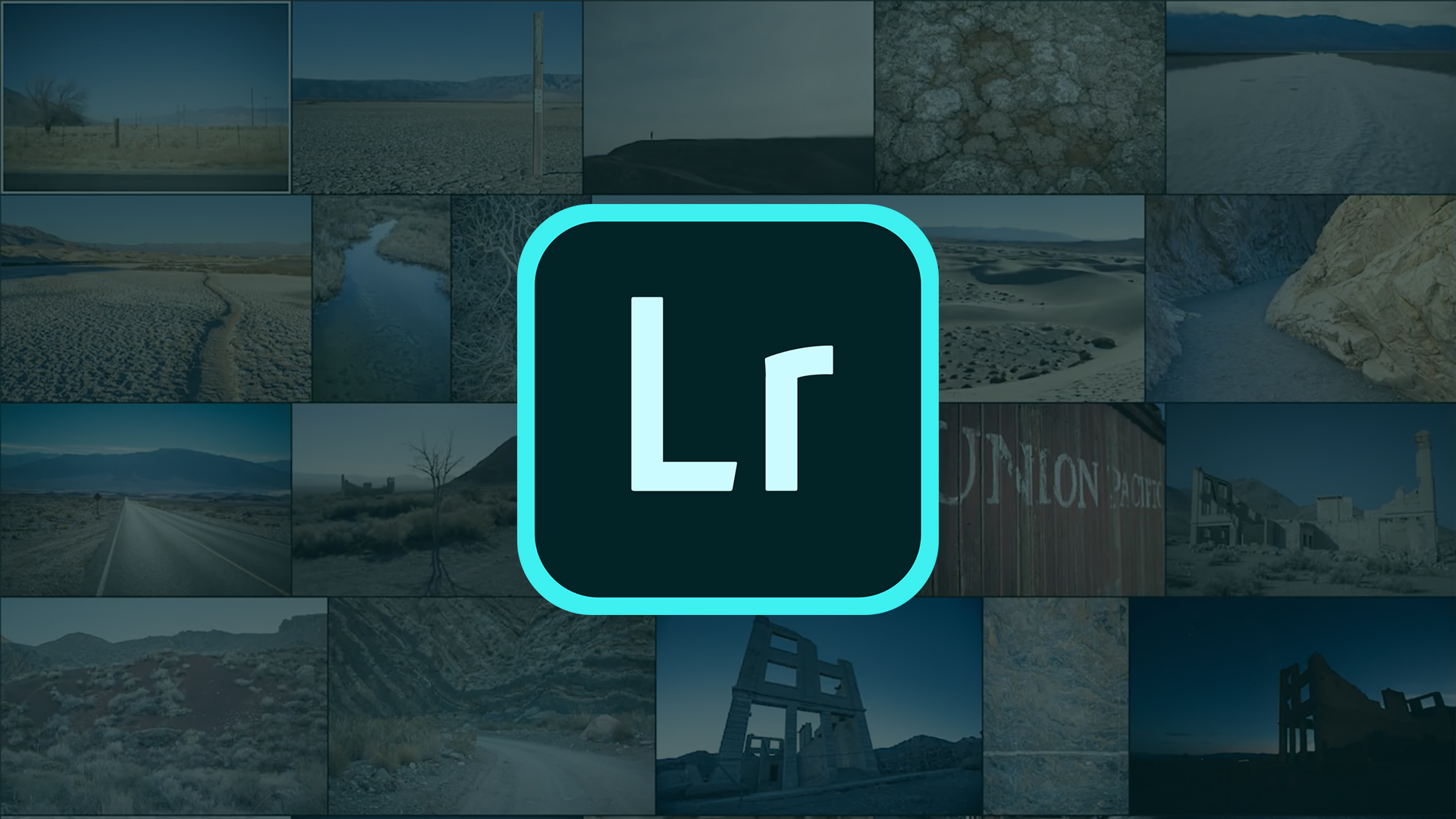 Photo Editing Software